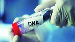 تحليل Dna.. نداء عاجل من الحكومة لأهالي