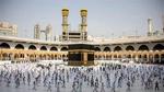  غرفة السياحة : تحرك عاجل ضد المقصرين في خدمة