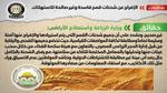 الحكومة تنفي الإفراج عن شحنات قمح فاسدة وغير