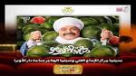عرض مرعي البريمو و ع الزيرو بسينما الهناجر