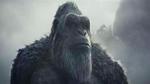 عرض فيلم Godzilla X Kong: The New Empire في