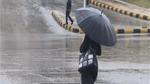 أمطار غزيرة في محافظة البحيرة وتأثيرها