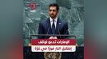 الإمارات تدعو لوقف إطلاق النار في غزة