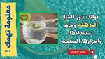 بذور الشيا وفوائدها الصحية المذهلة