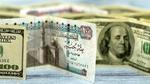 تحديثات سعر الدولار مقابل الجنيه اليوم