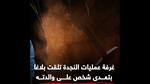 جريمة قتل بشعة في عين شمس