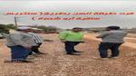 رصف طريق سنتريس - ساقية أبو شعرة بالمنوفية