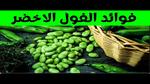 فوائد الألياف لصحة الجسم