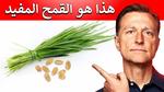 فوائد عشبة القمح للصحة والعافية