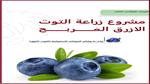 مشروع زراعة فاكهة التنين في الوادي الجديد