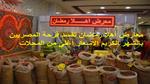 موسم القطن في الإسماعيلية: فرحة وسعادة