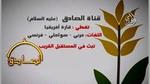 واقعة الطفلة المحتاجة للمساعدة في القاهرة