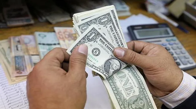 خبير اقتصادي: مرونة سعر الصرف بدون توافر