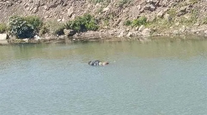 جثة طافية في بحر يوسف.. المياه تعيد فتاة بني