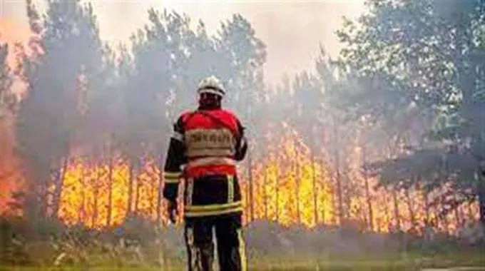 اليونان: لا نمتلك حل سحري لإطفاء حرائق الغابات