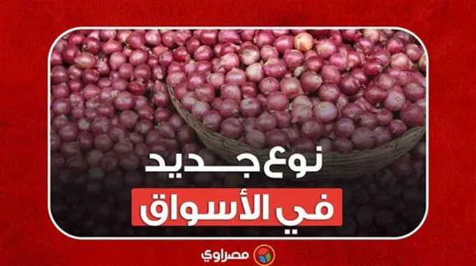 سعر البصل وصل 40 جنيها.. والحكومة تمنع تصديره