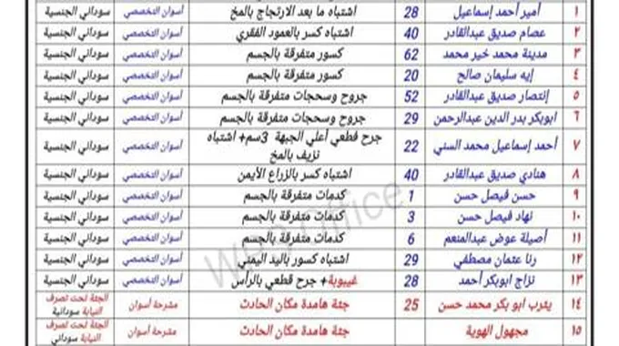 بالأسماء.. جثتان و13 مصابا في حادث بأسوان