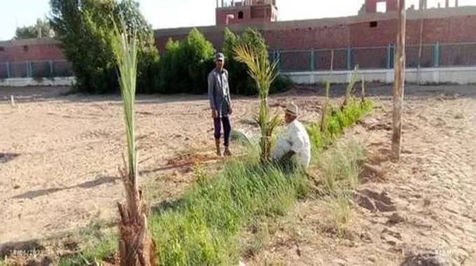 التحالف الوطني يطلق المرحلة الثانية لمباردة
