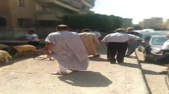 رئيس جهاز ٦ أكتوبر: حملة لرفع إشغالات الباعة