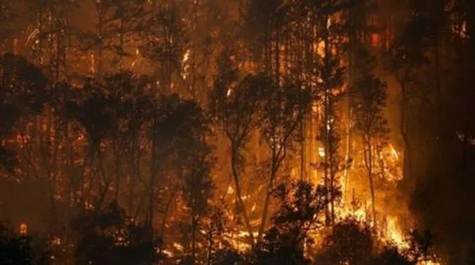 المغرب يقدم التعازي للجزائر في ضحايا الحرائق