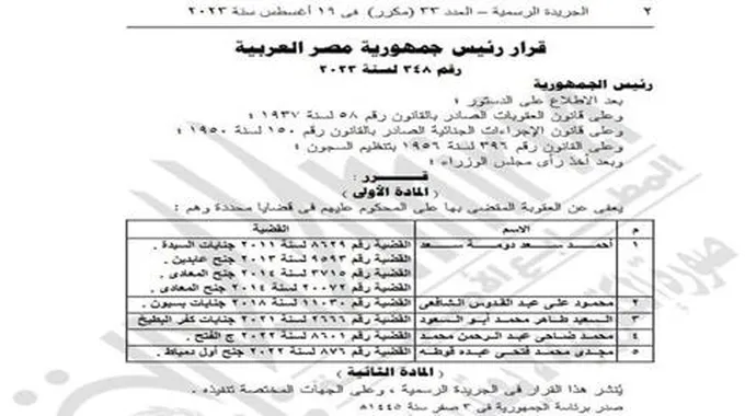 4 قضايا.. تفاصيل العفو الرئاسي عن أحمد دومة