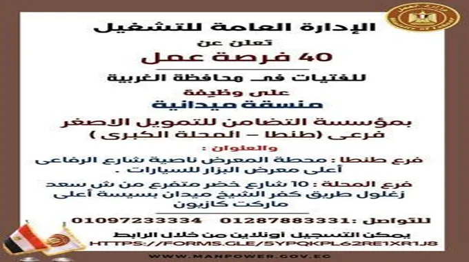 منسقة ميدانية.. 40 فرصة عمل للفتيات في محافظة