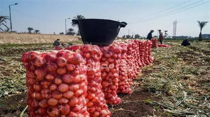 بيان رسمي يحسم الجدل.. حقيقة إلغاء قرار حظر