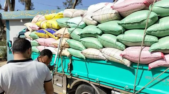 تصل للحبس وغرامة ٤ ملايين جنيه.. تعرف على عقوبة