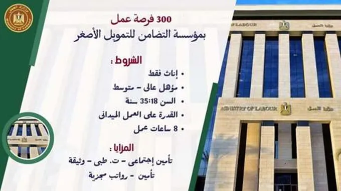 300 فرصة عمل متاحة بالقاهرة في هذا المجال..