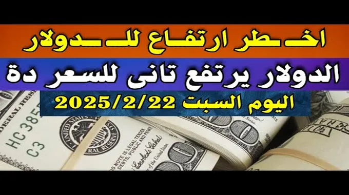 أسعار العملات الأجنبية في مصر بتاريخ 22-2-2025