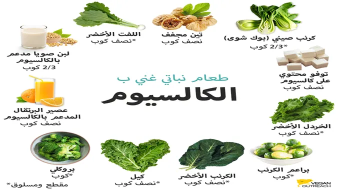 أطعمة غنية بالكالسيوم لصحة أفضل