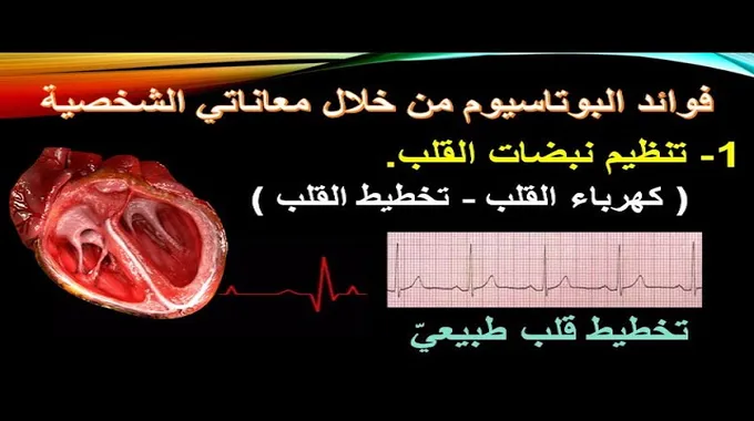 أهمية البوتاسيوم والمغنيسيوم لصحة القلب