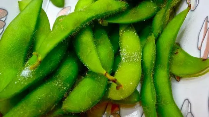 أهمية الفول وطرق حفظه الصحيحة