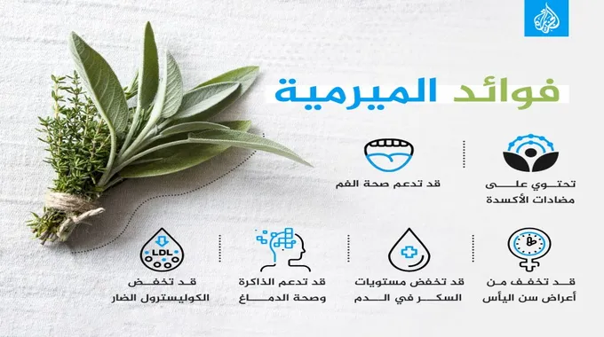 أهمية المغنيسيوم للحامل ودوره الصحي