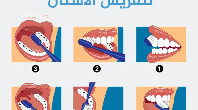 أهمية صحة الأسنان في مرحلة انقطاع الطمث