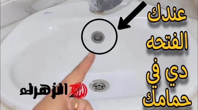 أهمية فتحة الفائض في تصميم المرحاض