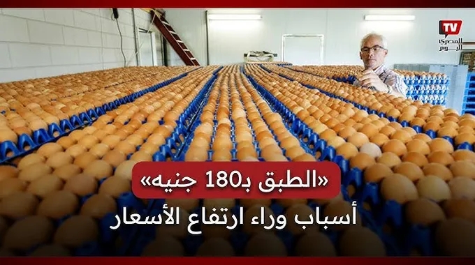 ارتفاع أسعار البيض في مصر اليوم