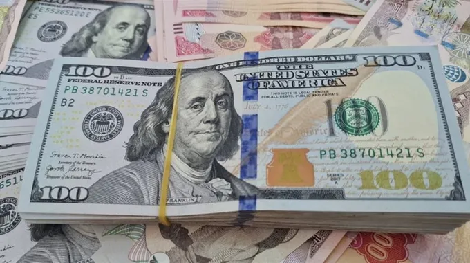 استقرار أسعار الدولار مقابل الجنيه اليوم