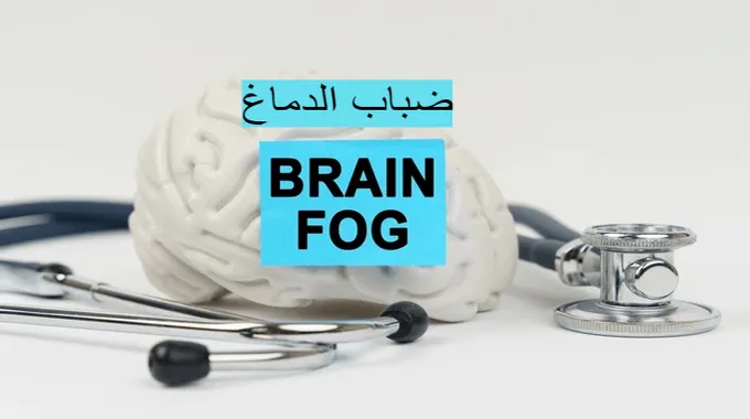 الأطعمة المعالجة وتأثيرها على الإدراك