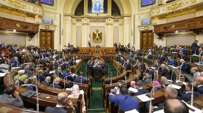 الانتخابات النيابية في الفيوم: تفاصيل المرشحين