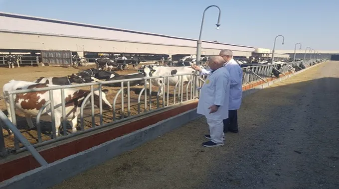 الندوات الزراعية لتعزيز الإنتاج وتحسين المعيشة