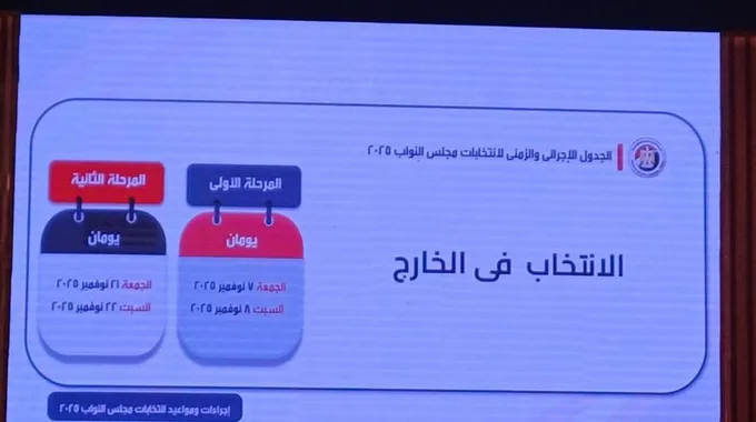 انتخابات مجلس النواب 2025 للمصريين في الخارج