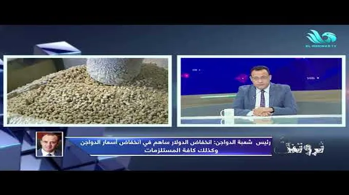 انخفاض أسعار الدواجن في السوق المصري