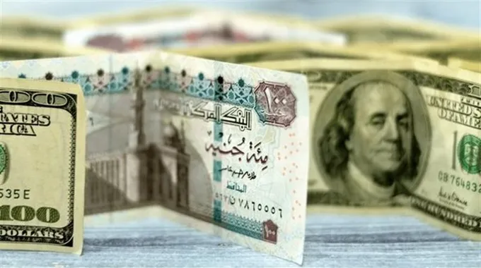تحديثات سعر الدولار مقابل الجنيه اليوم