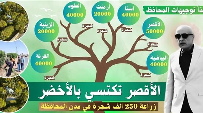 تحسين مظهر الأقصر وزيادة المساحات الخضراء