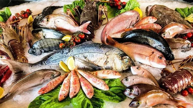 تراجع أسعار الأسماك في سوق العبور