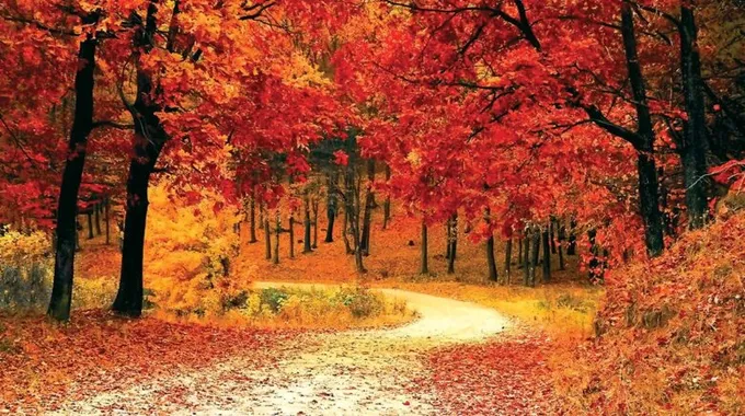 حالة الطقس المتوقعة ليوم السبت 22 نوفمبر 2025