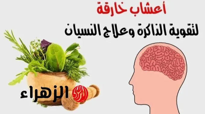 خضراوات تعزز الذاكرة وتقوي العقل