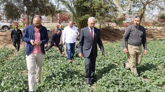 دور الزراعة في تحقيق الاكتفاء الذاتي بالمنيا