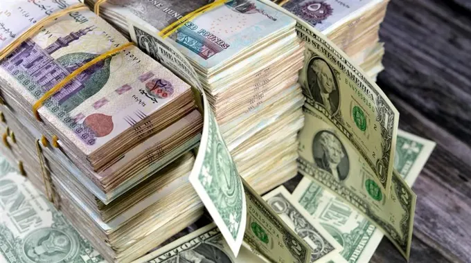 ضربة أمنية قوية ضد تجار المخدرات في مصر